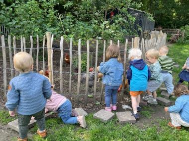 Børn ved hønsegård